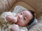 101431_1018205791_229large.jpg