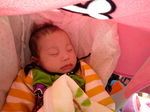 101431_1077924530_217large.jpg