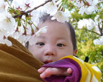 101431_1077924602_248large.jpg