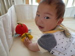 101431_1122140558_106large.jpg
