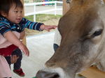 101431_1630195014_100large.jpg