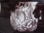 101431_54569395_46large.jpg