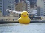 DSC00420.JPG