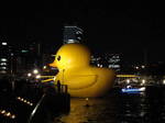 DSC00642.JPG