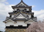 DSC00796.JPG