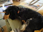 DSC00894.JPG