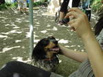 DSC01015.JPG