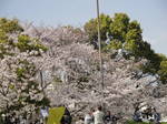 DSC01206.JPG