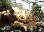 DSC01780.JPG