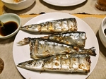 foodpic1574423.jpg